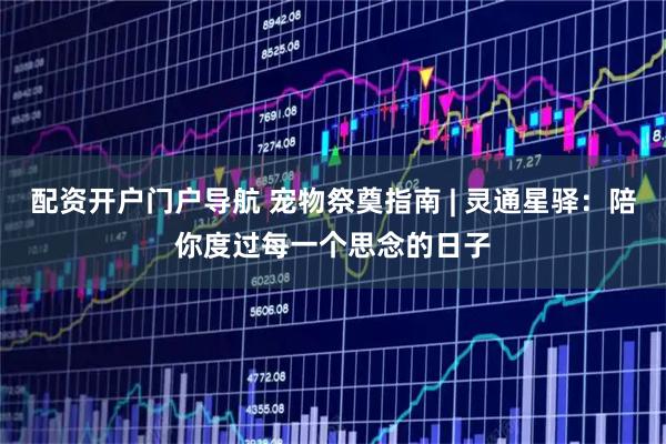配资开户门户导航 宠物祭奠指南 | 灵通星驿:陪你度过每一个思念的日子